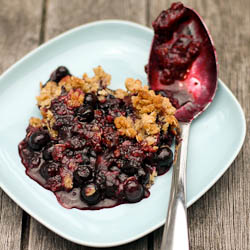 Easy Blueberry Crisp