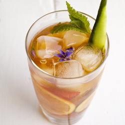 Pimm’s No. 1 Cup