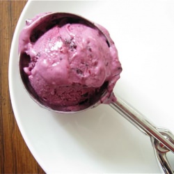 Blueberry-Vanilla Frozen Yogurt