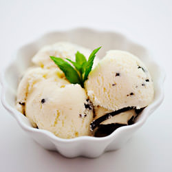 Mint Chocolate Chip Ice Cream