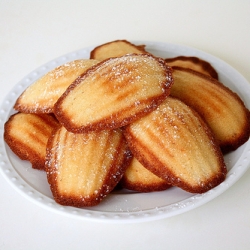 Chestnut Honey Madeleines