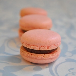 Box of Strawberry Macarons