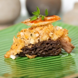 Crab-stuffed Morel Mushroom