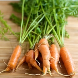 Honey Glazed Carrots