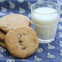 Chocolate-Chip Peanut Butter Cookie