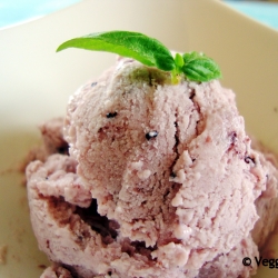 Frozen Blueberry Yogurt