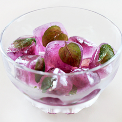 Tea and Coffee Ice Cubes