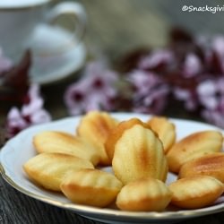 Madeleines and a Giveaway!