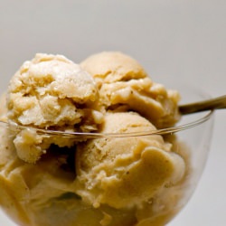 Vegan Banana Ice Cream