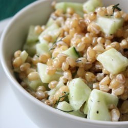 Cucumber Dill Wheat Berry Salad