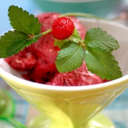 Red Berries Sorbet