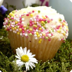 Fairy Cake