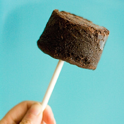 Mocha Fudge Pops