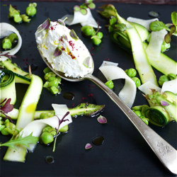 Fresh Buffalo Curd Summer Salad