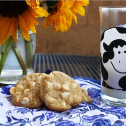 Macadamia Nut Cookies