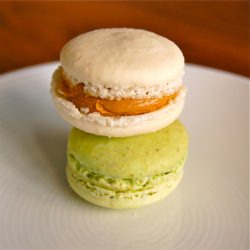 Macarons/ Garces Trading Company