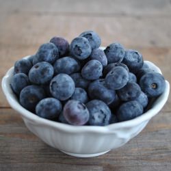 Blueberry Galette