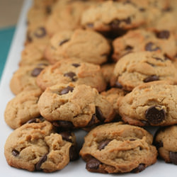 Peanut Butter Chocolate Chip Cookie