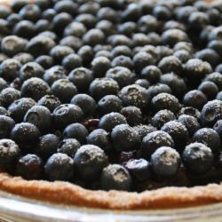 Fresh Blueberry Pie