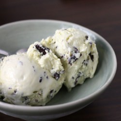 Fresh Mint Chocolate Chip Ice Cream