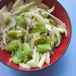 Fava Fennel Mint Salad