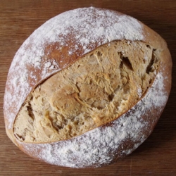 Pain au Levain