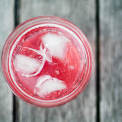 Rhubarb Gin and Tonic