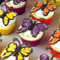 Butterfly Cupcakes