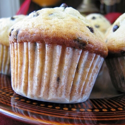 Chocolate Chip Yogurt Muffins