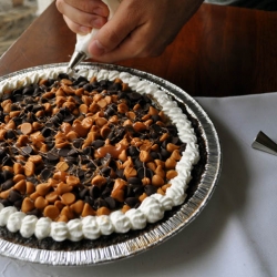 Coconut Chocolate Chip Cream Pie