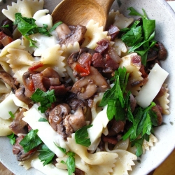 Farfalle with Mushroom Ragu