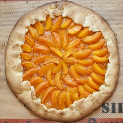 Apricot Cornmeal Galette