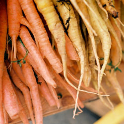 Malcolm X Blvd Farmers Market Open