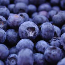 Blueberries