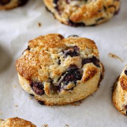 Blueberry Scones