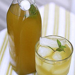 Ginger & Lemongrass Iced Green Tea