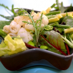 Summer Garden Salad