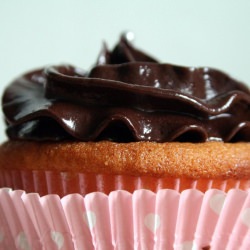 Double Chocolate Cupcakes