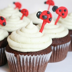 Ladybug Cupcakes