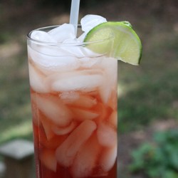 Pomegranate Spritzer