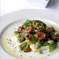 Chanterelles & Fava Bean Salad