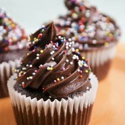 Chocolate Cupcakes