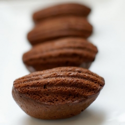 Dark Chocolate Madeleines