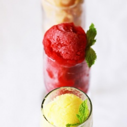 Trio of Sorbet