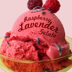 Raspberry Lavender Gelato