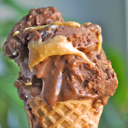 Chocolate Peanut Butter Ice Cream