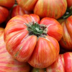 Heirloom Tomatoes