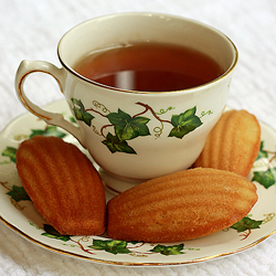 Honey Madeleines