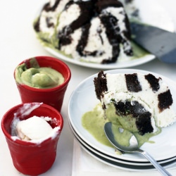 Swiss Swirl Ice Cream Cake