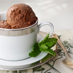 Bittersweet Chocolate Sorbet